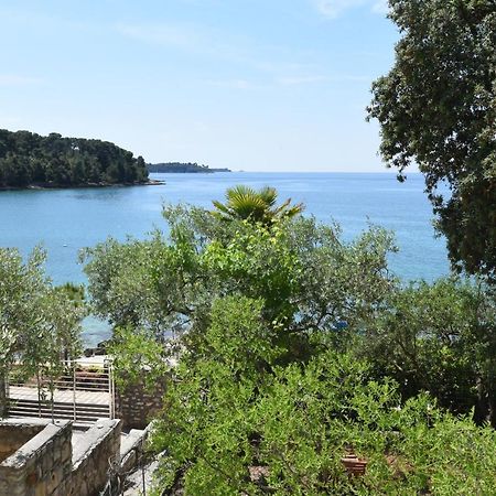 Buric House - Apartments Klasik And Studio Mini Rovinj Eksteriør bilde