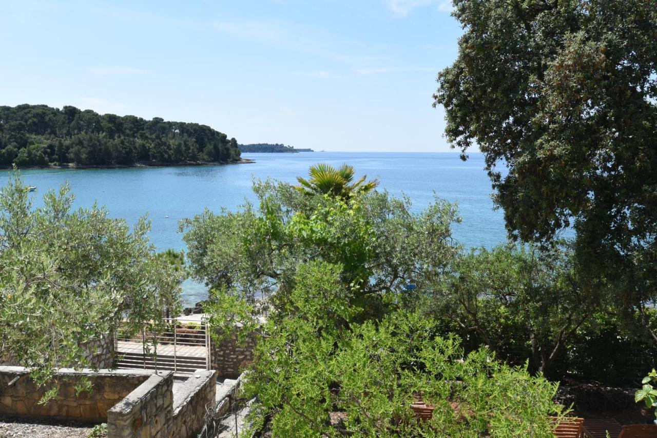 Buric House - Apartments Klasik And Studio Mini Rovinj Eksteriør bilde